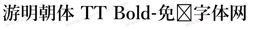 游明朝体 TT Bold字体转换